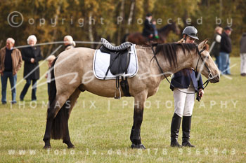 15 - Jagd Mechtersen