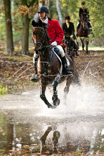 15 - Jagd Mechtersen