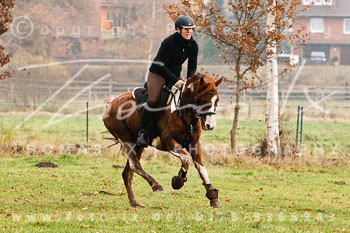 17 - Jagd Wulfsen