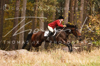 17 - Jagd Wulfsen