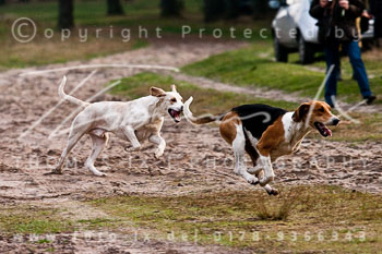 18 - Herbstjagd Sudermühlen