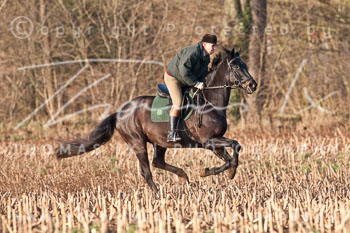 19 - Meutearbeit Wotersen