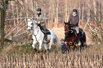 19 - Meutearbeit Wotersen