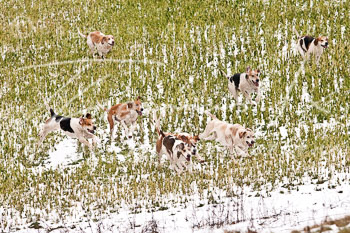 20 - Boxing Day Sudermühlen