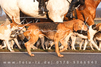 20 - Boxing Day Sudermühlen