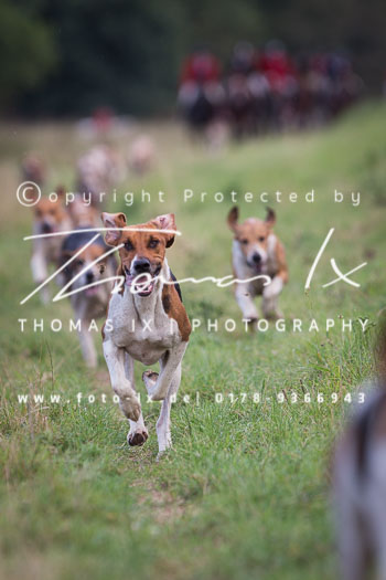 01 - Schleppjagd Gartow