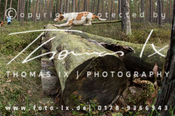 02 - Schleppjagd Gartow