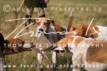 02 - Schleppjagd Gartow