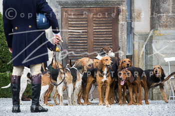 01 - Jagd Wendlinghausen