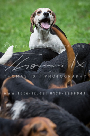 01 - Jagd Wendlinghausen