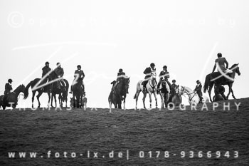 02 - Møn Meutearbeit