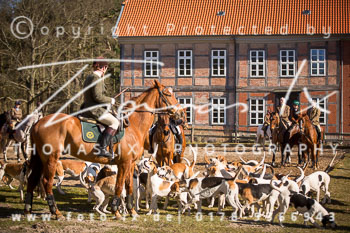 04 - Schnellenberg Meutearbeit