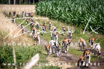 16 - Geburtstagsjagd Hermann Kröger