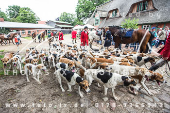 16 - Geburtstagsjagd Hermann Kröger