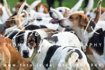 18 - Jugendjagdreiterlehrgang HSJV