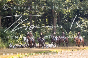19 - Damenjagd Gut Basthorst 19 - Damenjagd Gut Basthorst