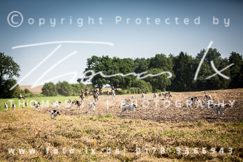 19 - Damenjagd Gut Basthorst