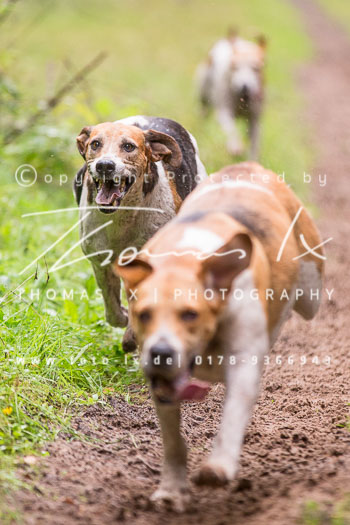 25 - Schleppjagd Einemhof