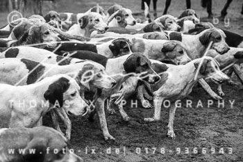 33 - Cross Country Jesteburg