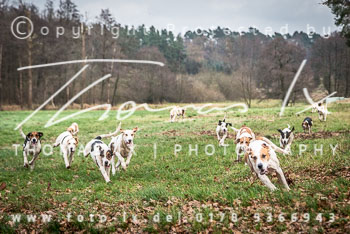 41 - Herbstjagd Sudermühlen