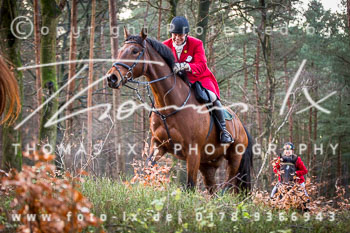 42 - Herbstjagd Toppenstedt