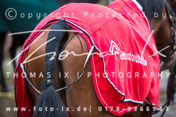 43 - Nikolausjagd Sudermühlen