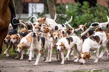 01 - Meutearbeit Ehlbeck