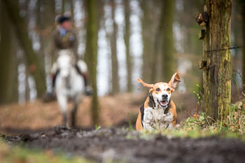 03 - Meutearbeit Schnellenberg