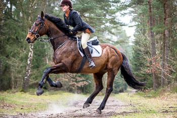 04 - Meutearbeit Einemhof