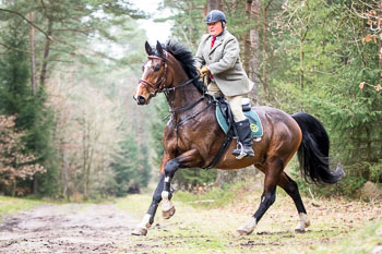 04 - Meutearbeit Einemhof