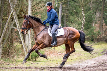 04 - Meutearbeit Einemhof