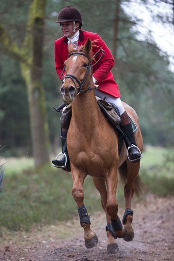 05 - Triple Meet Wense