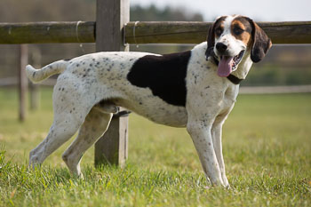 07 - Picknick Schnede