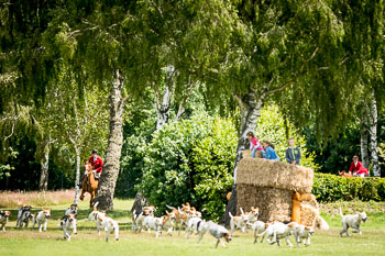 08 - Show Luhmuehlen 08 - Show Luhmuehlen