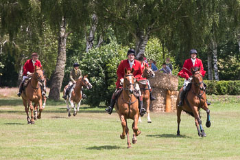 08 - Show Luhmuehlen 08 - Show Luhmuehlen