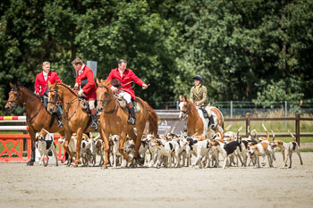08 - Show Luhmuehlen 08 - Show Luhmuehlen