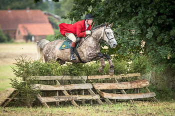 10 - Jagd Rohlfshagen