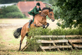 10 - Jagd Rohlfshagen