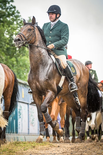 10 - Jagd Rohlfshagen 10 - Jagd Rohlfshagen