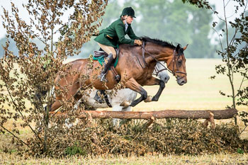 10 - Jagd Rohlfshagen 10 - Jagd Rohlfshagen