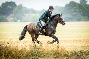 10 - Jagd Rohlfshagen
