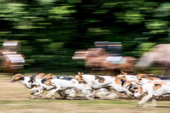 12 - Jagd Steinhorst