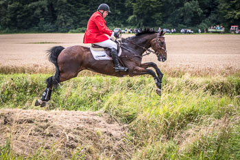 12 - Jagd Steinhorst 12 - Jagd Steinhorst