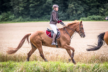 12 - Jagd Steinhorst 12 - Jagd Steinhorst