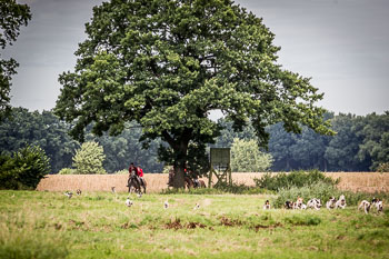 12 - Jagd Steinhorst 12 - Jagd Steinhorst