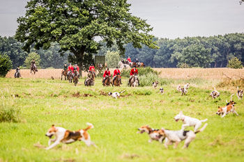 12 - Jagd Steinhorst 12 - Jagd Steinhorst