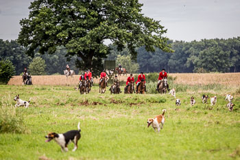12 - Jagd Steinhorst 12 - Jagd Steinhorst