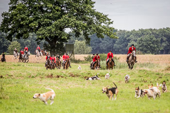 12 - Jagd Steinhorst 12 - Jagd Steinhorst