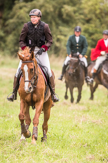 12 - Jagd Steinhorst