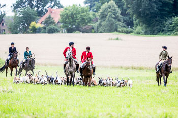 12 - Jagd Steinhorst